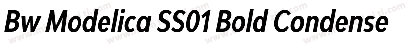 Bw Modelica SS01 Bold Condensed字体转换